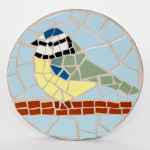 Blue Tit