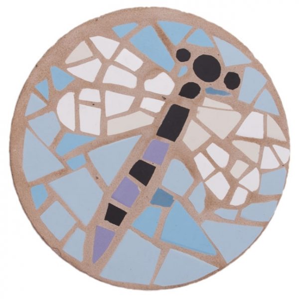 Dragonfly Stepping Stone Kit