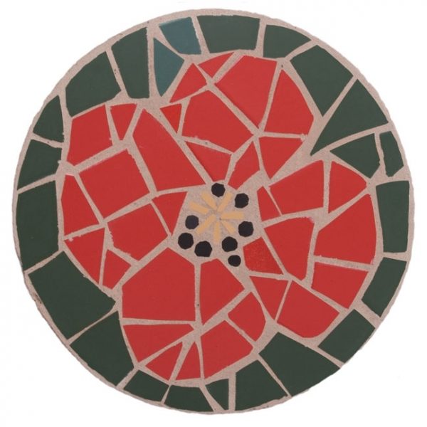 Poppy Stepping Stone Kit